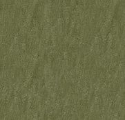 Forbo Marmoleum Real 3255 pine forest