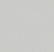 Forbo SafeStep Aqua 180262-trout