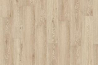 Adelar Eterna Acoustic Chapman Oak 05321LG