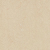Forbo Marmoleum Real 3861