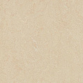 Forbo Marmoleum Real 3861