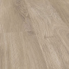FALQUON SPC (The floor) Wood Tucson Oak P6001