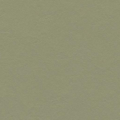 Линолеум Натуральный Forbo Marmoleum 2,5мм 3355