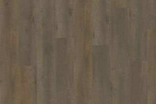 Adelar Eterna Acoustic Major Oak 05871LG