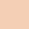 Silk Plaster Общестроительные краски PRIME COLOR Краска Резиновая PRO 10-02 Слоновая кость 0,28 л 
