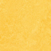 Forbo Marmoleum Click Square Lemon Zest 333251