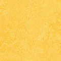 Forbo Marmoleum Click Square Lemon Zest 333251