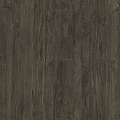 Rasch Mandalay 528442