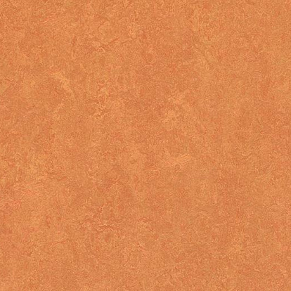 Линолеум Натуральный Forbo Marmoleum 2,5мм 3825