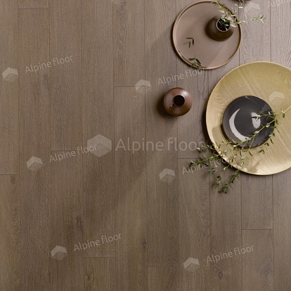 Ламинат Homflor by Alpine Floor Patio Olbia Oak 560