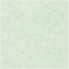 Caselio Beton 101487400