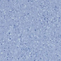 Forbo Sphera Element 51037-Contrast-China-blue