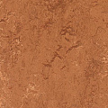 Натуральный Forbo Marmoleum 2,5мм 2767