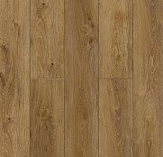 NatisSton Leger Host 5001-02