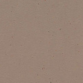Натуральный Forbo Marmoleum 2,5мм 3580