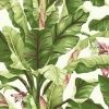York Ashford Tropics AT7067