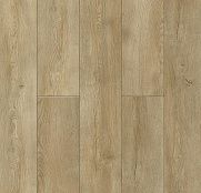 NatisSton Leger Eclipse 5001-03
