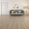Faus Sense Anise Oak S180031