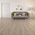 Faus Sense Anise Oak S180031