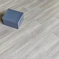 Alpine Floor Intense Туманный лес ECO 9-4