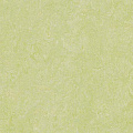 Forbo Marmoleum Real 3881