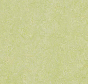 Forbo Marmoleum Real 3881