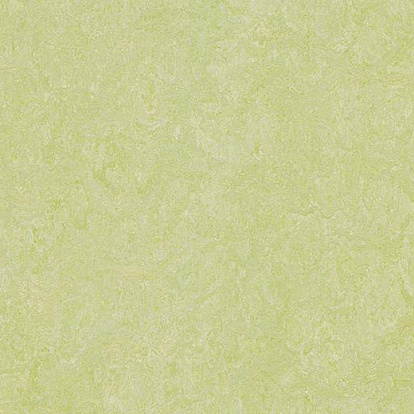 Линолеум Forbo Marmoleum Real 3881