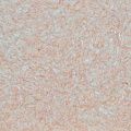 жидкие Silk Plaster Оптима Г-055
