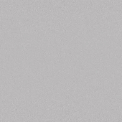 Линолеум Forbo Sarlon 19 dB 0861T4319-light-grey-uni