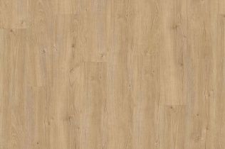 Adelar Eterna Acoustic Sebastian Oak 05325LG