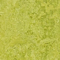 натуральный Forbo Marmoleum Decibel sheet 3,5mm 322435