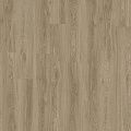 IVC Next Acoustic Vista Oak 450