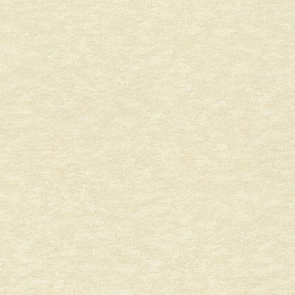 Обои Rasch Filigrano 964813