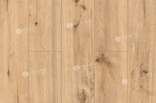 Alpine Floor by Classen ProNature Oak Poprad 64634