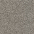 Rasch Composition 554564