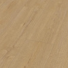 Rooms Penthouse Aqua Дуб Горизонт натуральный R1239A