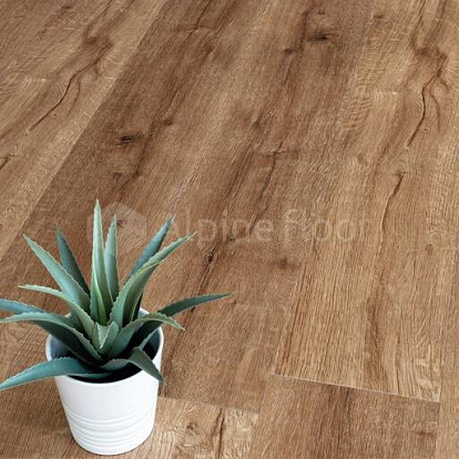 Ламинат SPC Alpine Floor Real wood Дуб ROYAL Синхронное тиснение ECO2-1