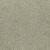 Rasch Varvara 920437