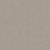 BN Grand Safari 220573