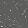 Forbo Sphera Energetic 52215-shimmer-ebony