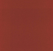 Rasch Stories 531374