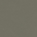 Натуральный Forbo Marmoleum 2,5мм 3375