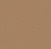 BN Grand Safari 220522