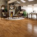 Faus Elegance Amaretto Walnut S172487