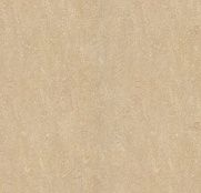 натуральный Forbo Marmoleum 2мм 2499 sand