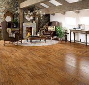 Faus Elegance Amaretto Walnut S172487