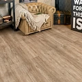 Alpine Floor Grand Sequoia Гранд секвойа карите ECO 11-9