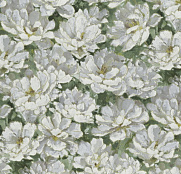Rasch Varvara 920123
