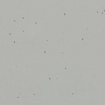 Линолеум Forbo Sphera Energetic 50202-concrete