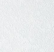 NC Antivandal 4010-31 (2488-17)